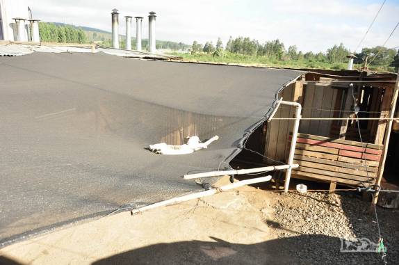 Gato descansa e se espreguiça sobre uma tela no quintal de nosso hotel de estrada entre Victoria e Los Angeles, no sul do Chile